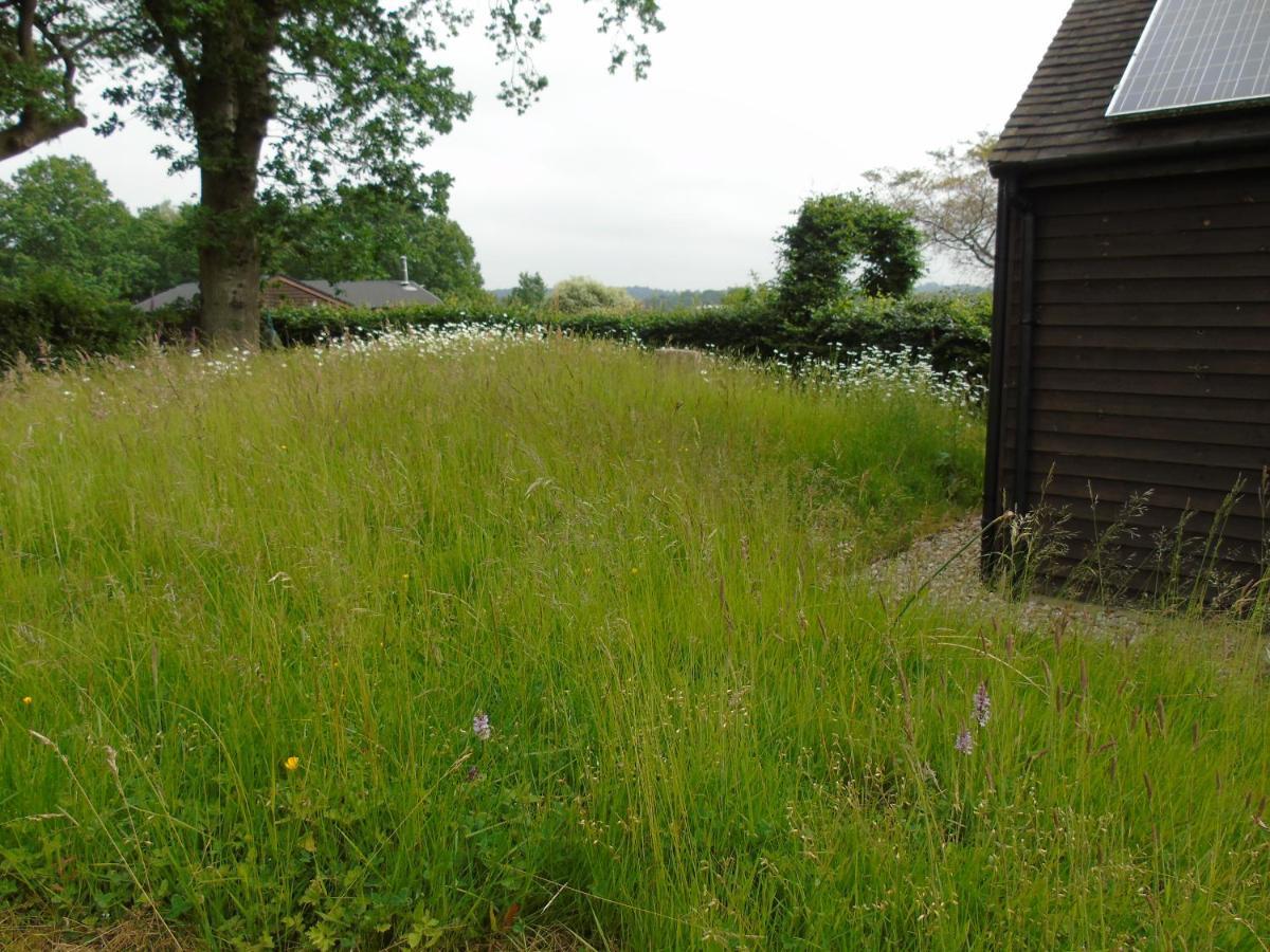 Bond'S Cottage Barn Royal Tunbridge Wells Exterior photo